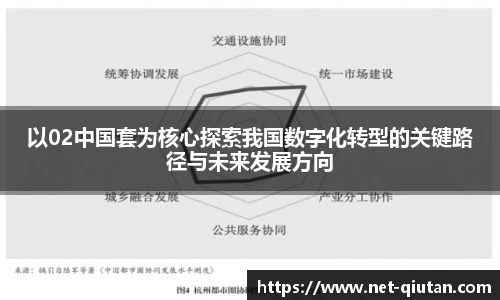 以02中国套为核心探索我国数字化转型的关键路径与未来发展方向