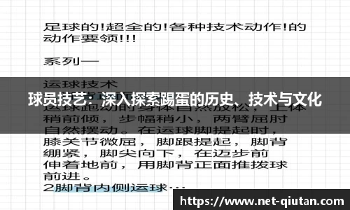 球员技艺：深入探索踢蛋的历史、技术与文化