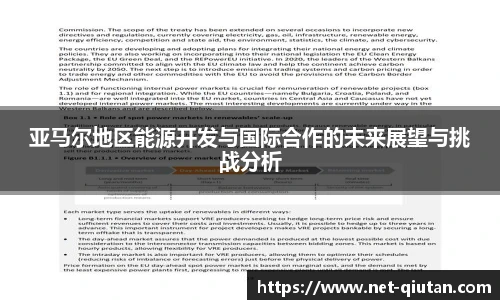 亚马尔地区能源开发与国际合作的未来展望与挑战分析